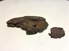 や*や様 【個性派】天然松？の樹皮 爬虫類・アクアリウム用　ミルフィーユ状のサムネイル