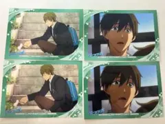 Free! アニメイト 特典 ブロマイド 橘 真琴
