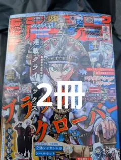 新品未開封】ジャンプGIGA 2026 SPRING 全付録付き 2冊 - メルカリ