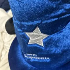 東京ディズニーリゾート ファンキャップ 青