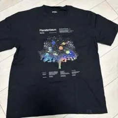 Item thumbnail for item 9b935714-31ac-4ad9-b8a5-aa13759614ef