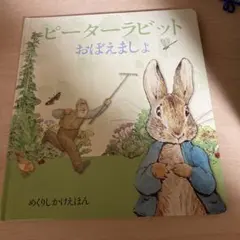 絶版 絵本 プロコフィエフのピーターと狼 / 佐野洋子 - メルカリ
