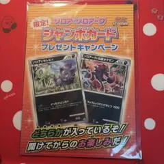 포켓몬 カード ゾロア・ゾロアーク ジャンボカード プレゼントキャンペーン