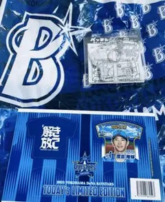 度会隆輝選手　横浜DeNAベイスターズ　観戦記念キーホルダー　6/7