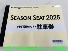 2025年最新】paypayドーム駐車券 10月の人気アイテム - メルカリ