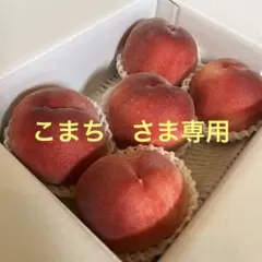 山梨一宮の木のてっぺんから収穫　めっちゃデカイ　プレミアムピーチを5個詰め発送