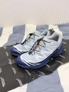 salomon xt-6 goretex 26.5 blue print