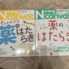 Nursing Canvas 2021年12月・2022年1月号セット