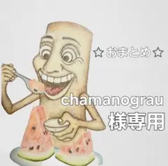 chamanograu様 リクエスト 2点 まとめ商品