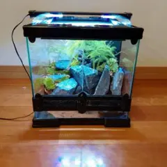 受注生産】滝のあるアクアテラリウム イモリウム 苔テラリウム アクア