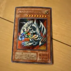 遊戯王　ブルーアイズ・トゥーン・ドラゴン