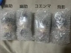 幽遊白書　SOFVICちゅ(幽助・飛影・コエンマ)のサムネイル