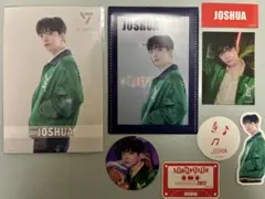 ジョシュア2点セット