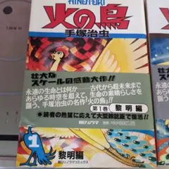 Item thumbnail for item c13fc234-7475-4da1-9fb2-1432c588adbb