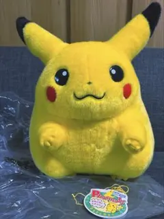 シ*♾様 おかえりピカチュウ ぬいぐるみ ぬいぐるみ おかえり！ピカチュウ1/1 ｜【公式】ポケモンセンター