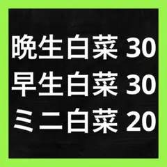 ノリコッコ様 リクエスト 3点 まとめ商品