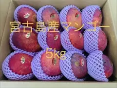 クール便発送！沖縄県産 アップルマンゴー(※家庭用)5kg - メルカリ