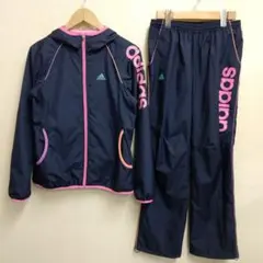 ウインドブレーカー 上下 レディース
