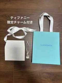 2026年最新】TIFFANY ショップ袋・ショッパーの人気アイテム - メルカリ