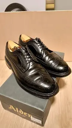 2025年最新】オールデン Alden ロングウイングチップの人気