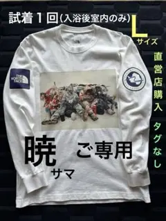 廃盤】NT82230 ノースフェイス アートプリント 長袖Tシャツ L - メルカリ