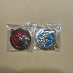 ポケモン　一番くじ　メタルチャーム　ヒノアラシ　ワニノコ
