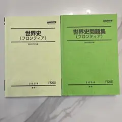 世界史（フロンティア）2024年版