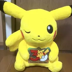 一番くじ Pokémon 30th ANNIVERSARY ラストワン賞
