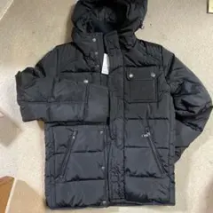 Item thumbnail for item 5e9a225e-3d7f-4d0f-8f01-ccc738019a73