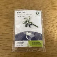 非売品！！Kansai Pavilion 2025 ピンバッジ 大阪関西万博 Kansai Pavilion 2025 ピンバッジときいちゃん