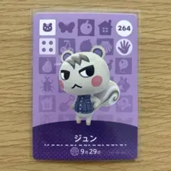 amiiboカード　ジュン　あつまれどうぶつの森【匿名配送】