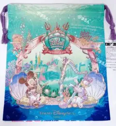 きんちゃく 巾着 ディズニーシー 24周年 ミニー デイジー ディズニー