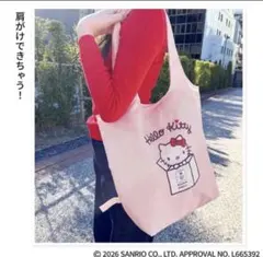 【匿名配送】MAISON SPECIAL×ハローキティ 保冷・保温マルシェバッグ