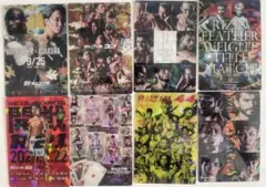 RIZIN ポテトスティック　朝倉未来　朝倉海　堀口恭司　8枚セット