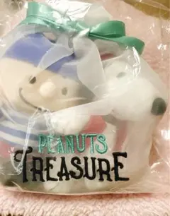 値下げ！スヌーピー フェスティバル限定スヌーピー &チャーリーブラウンマスコット