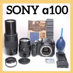 ✨お手軽に一眼レフをお始めよう✨SONY a100 ソニー✨ダブルレンズ✨