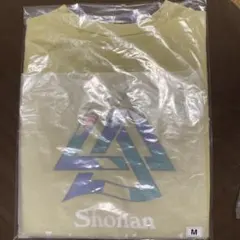 THE NORTH FACE 湘南国際マラソン ノースリーブT メンズM