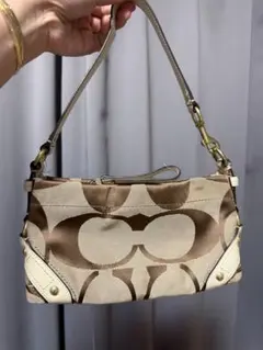 Coach Shoulder/Handbag