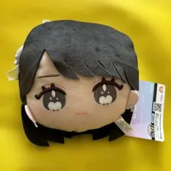 LOVE 佐々木舞香 個別アクスタポーチ - メルカリ