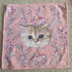 PAUL & JOE 猫柄タオルハンカチ