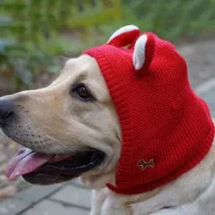犬用帽子 　赤　ニット帽 冬 犬猫用 柔らかい 洗える クリスマス