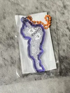 琵琶湖アクリルキーホルダー　びわ湖バレイ