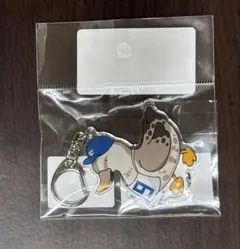 【中島卓也選手】グッズセット 北海道日本ハムファイターズ 中島卓也選手通算1000試合出場記念グッズ発売のお知らせ