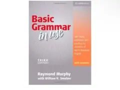 Basic Grammar in Use