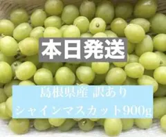 島根県産 シャインマスカット 粒 900g 訳あり 8/5発送 #76のサムネイル