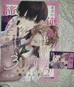 2026年最新】3月の霹靂の人気アイテム - メルカリ