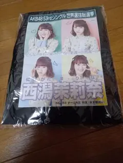 Item thumbnail for item 2e3ac7fd-dbde-408f-89d8-aafe12c67292