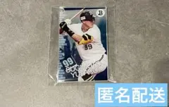 ◎オリックス　杉本裕太郎選手 コロチャレC賞 アクリルカード