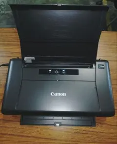 Item thumbnail for item 5621d335-d9a0-4423-9830-d10421097875