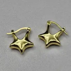 スター 星 シンプル モチーフ フープ ピアス ゴールド サージカルステンレス